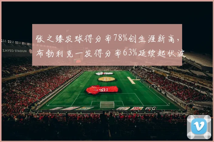 张之臻发球得分率78%创生涯新高，布勃利克一发得分率63%延续起伏波动