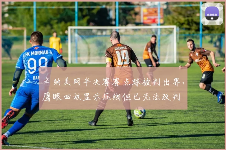 辛纳美网半决赛赛点球被判出界，鹰眼回放显示压线但已无法改判